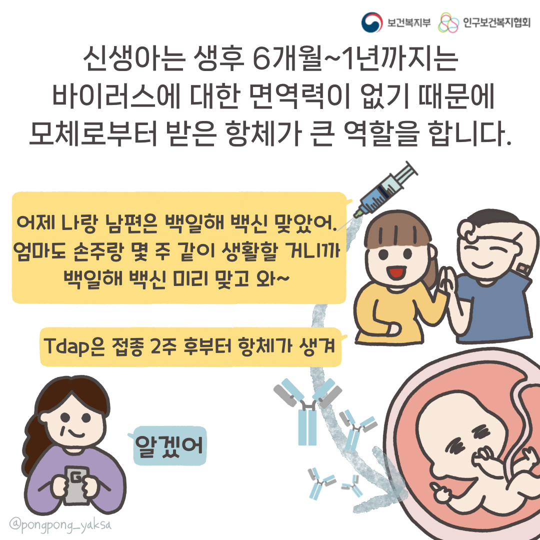 보건복지부 로고,인구보건복지협회 로고,신생아는 생후 6개월~1년까지는 바이러스에 대한 면역력이 없기 때문에 모체로부터 받은 항체가 큰 역할을 합니다.,어제 나랑 남편은 백일해 백신 맞았어. 엄마도 손주랑 몇 주 같이 생활할 거니까 백일해 백신 미리 맞고 와~,Tdap은 접종 2주 후부터 항체가 생겨,알겠어,@pongpong_yaksa