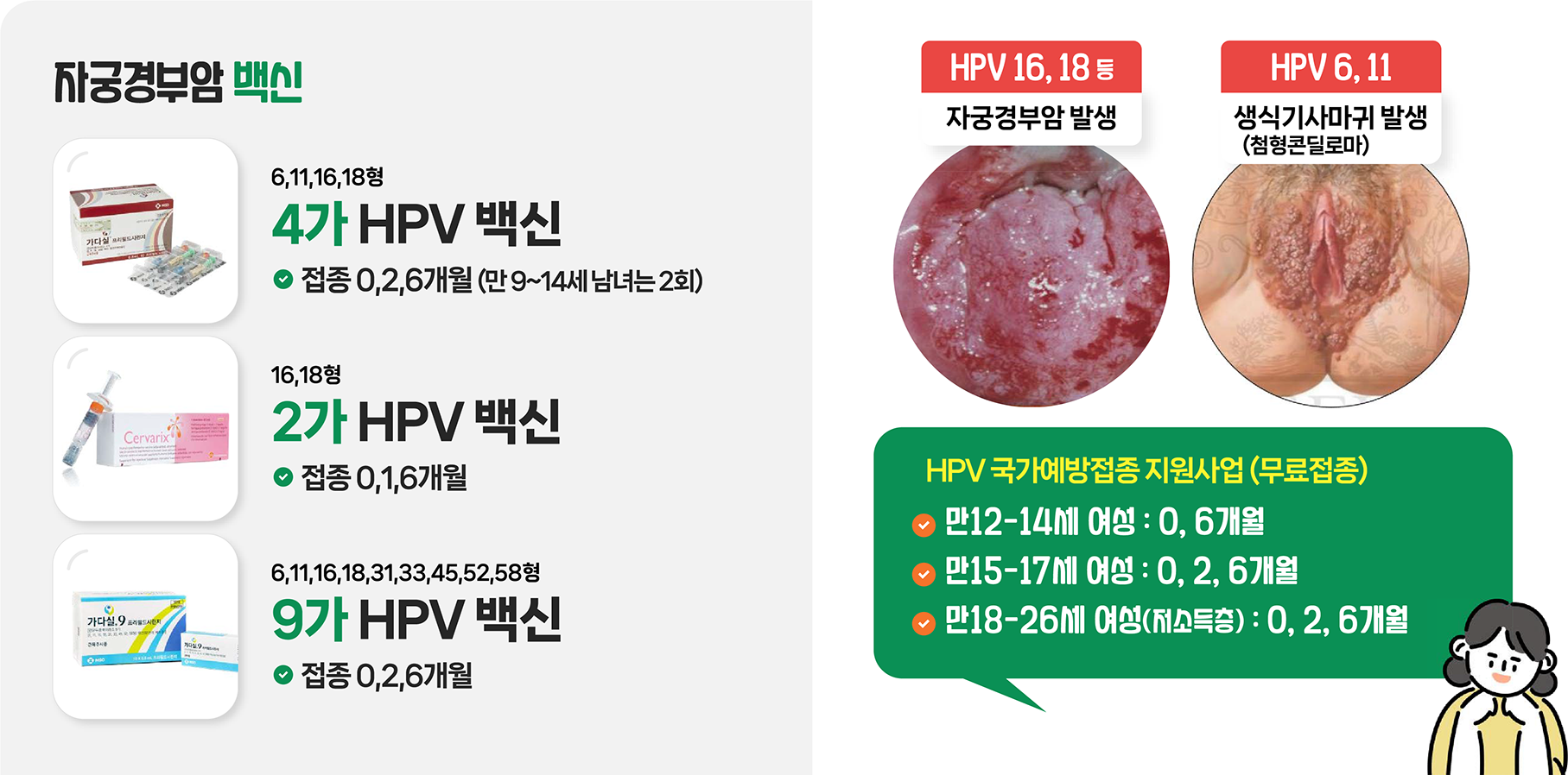 자궁경부암 백신종류는 6,11,16,18형 4가 HPV백신(접종은 0,2,6개월 간격-만9~14세 남녀는 2회), 16,18형 2가 HPV 백신(접종은 0,1,6개월 간격), 6,11,16,18,31,33,45,52,58형 9가 HPV 백신(접종은 0,2,6개월 간격)이 있으며, HPV 국가예방접종 지원사업(무료접종)은 만12세-14세 여성은 0,6개월, 만15세~17세 여성은 0,2,6개월, 만18세-26세 여성(저소득층)은 0,2,6개월을 지원을 받을 수 있다. HPV바이러스 중 HPV 16,18 등은 자궁경부암 발생 HPV 6,11 생식기사마귀 발생(첨형콘딜로마)